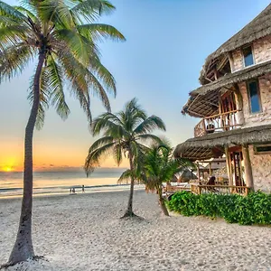 https://alaya-tulum.tulum-hotels.net